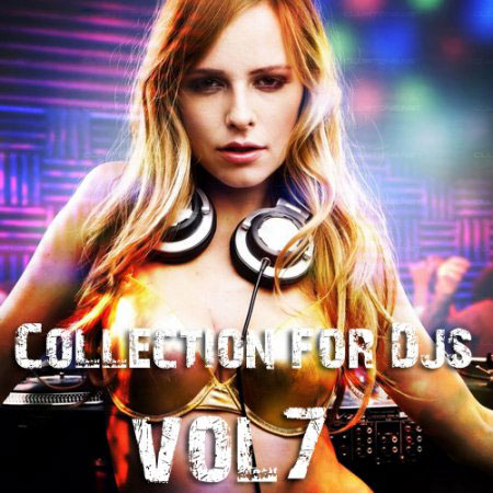Collection for Dj's vol.7 (2010)