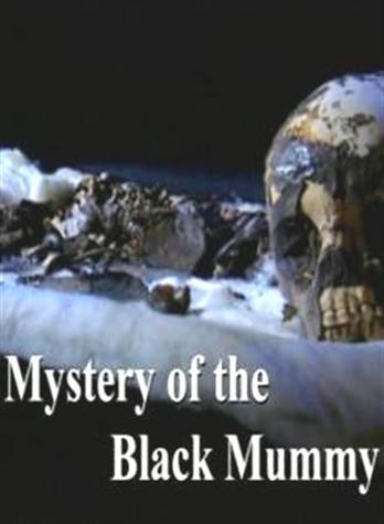 Загадка черной мумии / Mystery of the Black Mummy (2008) SATRip