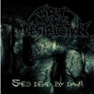 Art Like Destruction - Shes Dead By Dawn EP [2008]