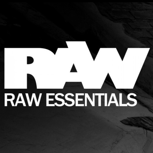 (Trance) VA - Ronald Van Gelderen Pres Raw Essentials (RAWBUND001) - 2010, MP3 (tracks) WEB - [scene], 320 kbps