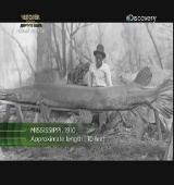  : - (3 ) / River monsters: Giant Alligator Gar (2010)